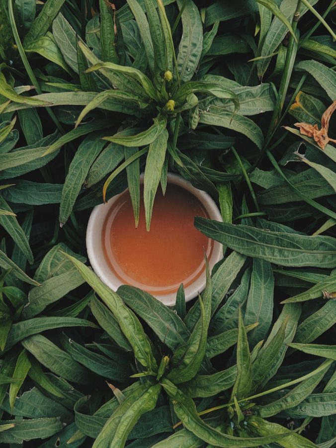 tea leaf and cup
